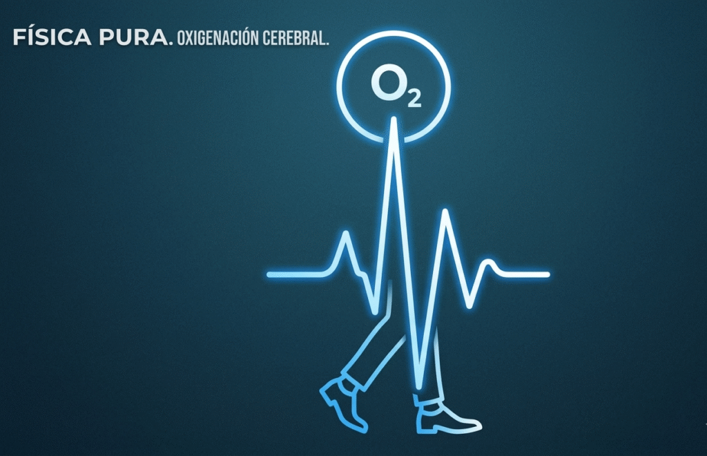 Infografía conceptual de oxigenación cerebral mediante reset rítmico TAPEAMELO
